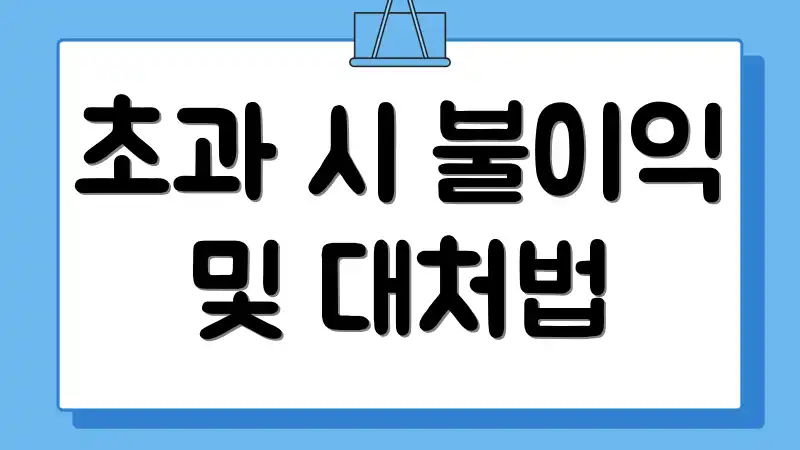 초과 시 불이익 및 대처법