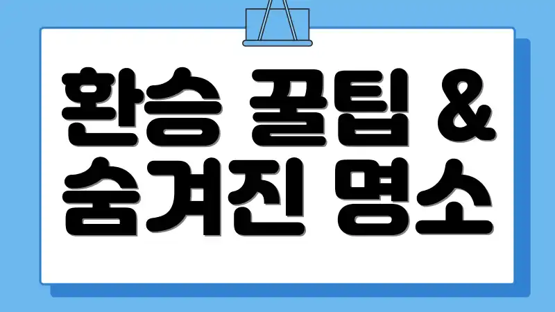 환승 꿀팁 & 숨겨진 명소