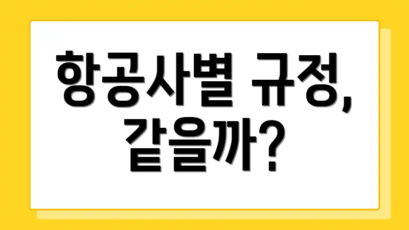 항공사별 규정, 같을까?