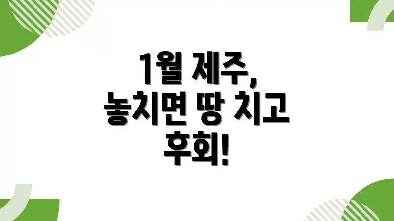 1월 제주, 놓치면 땅 치고 후회!