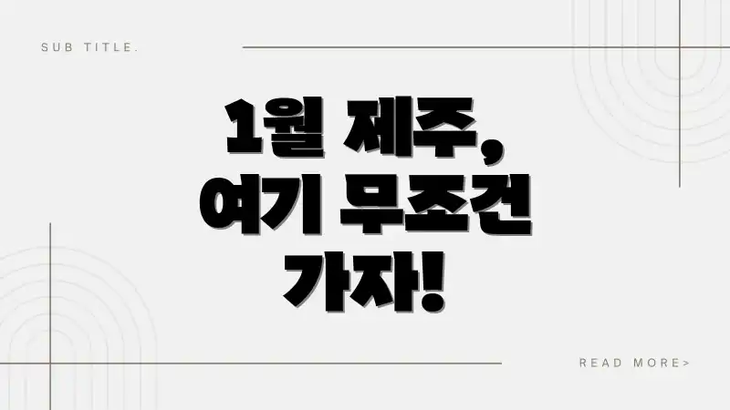 1월 제주, 여기 무조건 가자!