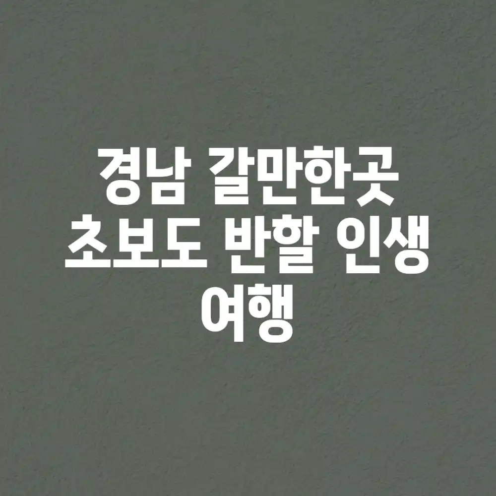 경남 갈만한곳? 초보도 반할 인생 여행!