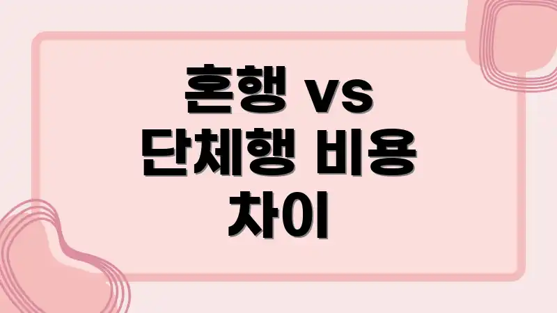혼행 vs 단체행 비용 차이