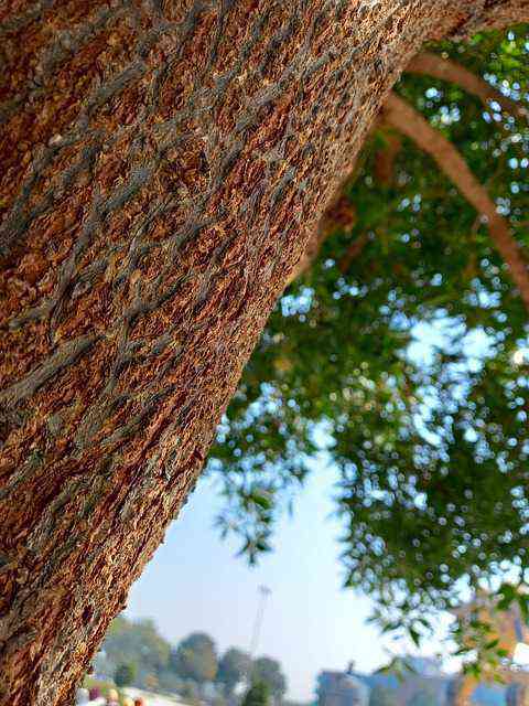 📦 눈물 콧물 쏙 뺀 원룸이사 후기! 꿀팁 대방출 ✨